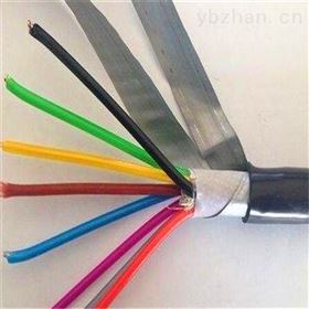 铠装铜芯电缆KVV22-KVV22控制电缆生产厂家