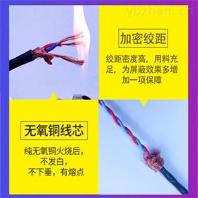 屏蔽双绞线RVSP2*1.0屏蔽线RVSP2*1.5