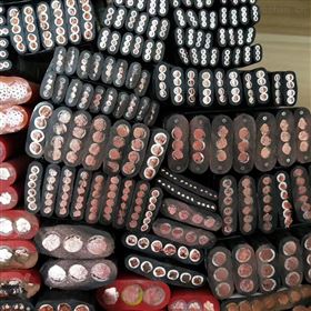 JHSB潜水电机用扁电缆450/750V-3*35mm2价格