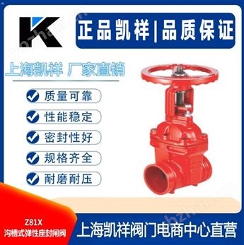 Z81X溝槽式彈性座封閘閥