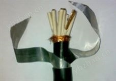 DJYPV计算机电缆