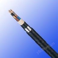 U-1000 ARVFV法國Italy標準工業電纜